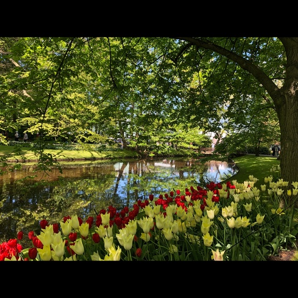 Meet your fellow Posher - Picture 1 of 4